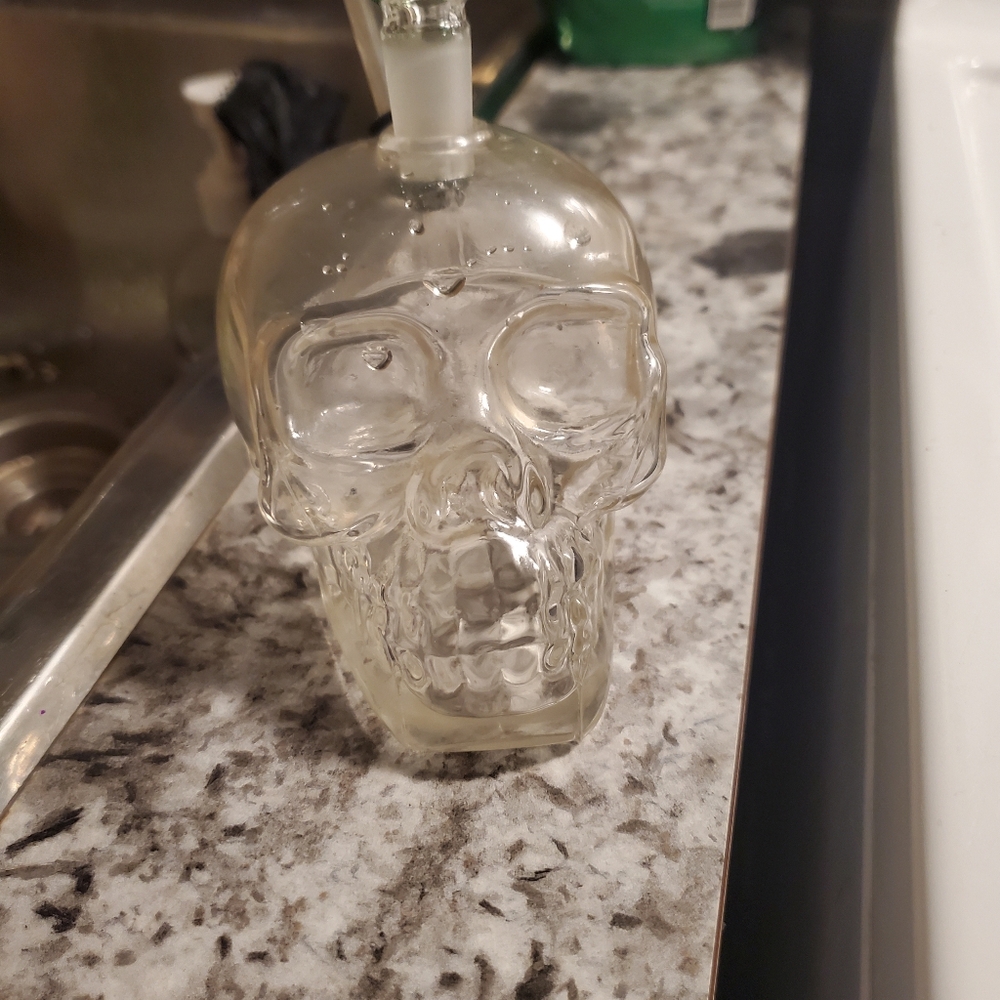 Skull - Picture 2 of 3